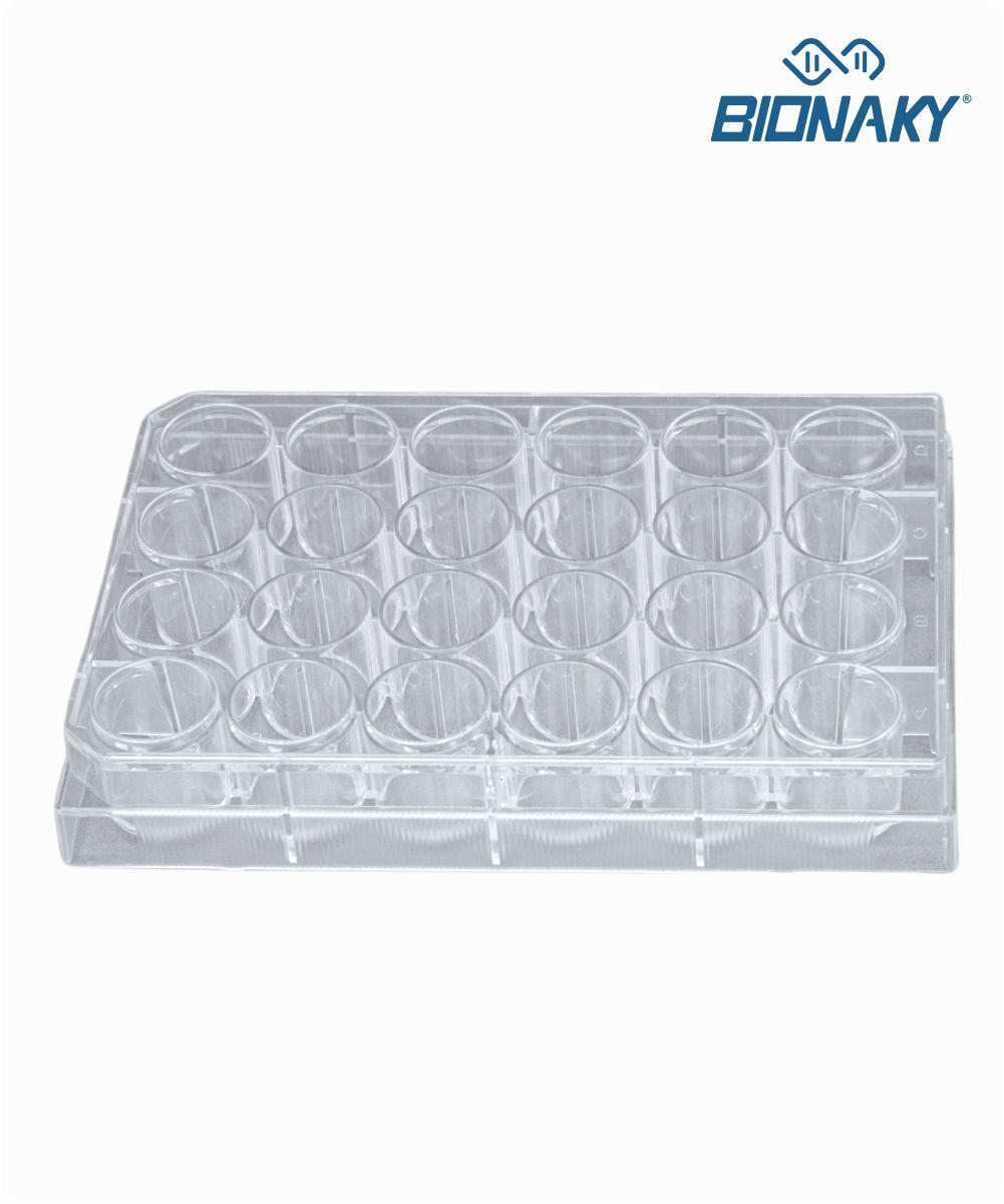 Microplaca para cultura celular com 24 orifícios