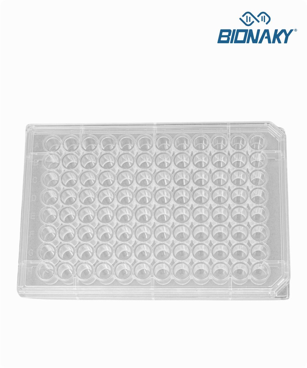 Microplaca para cultura celular com 96 orifícios