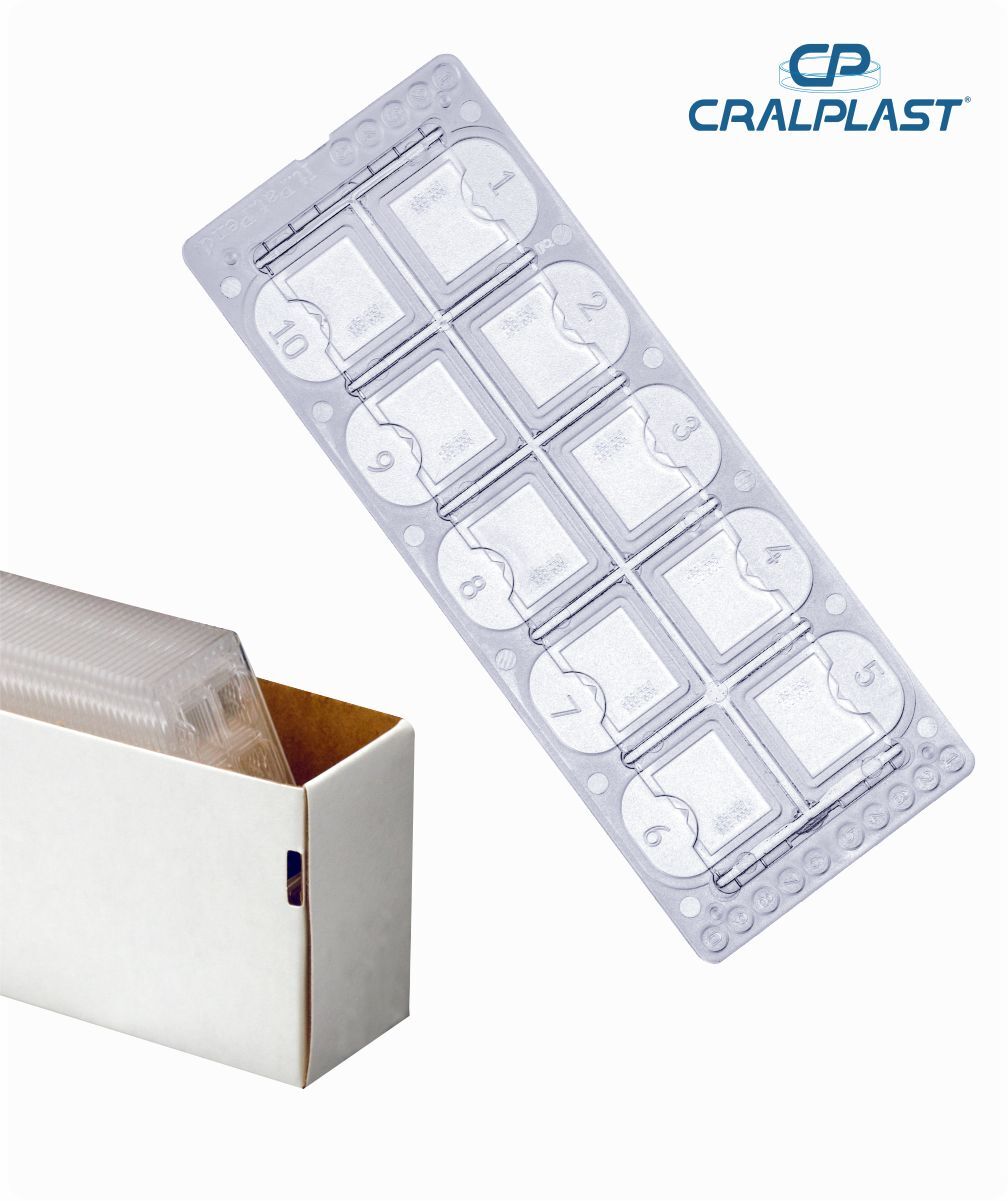 Lâmina K-cell para contagem de sedimentos urinários