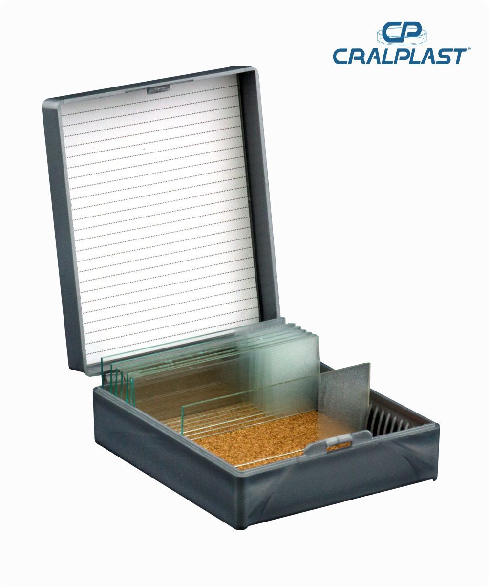 Caixa plástica porta 25 lâminas