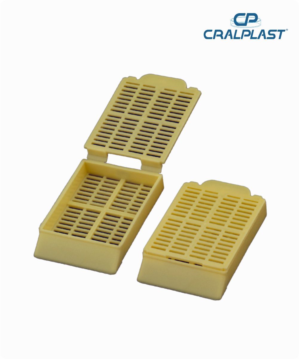 Cassete para biópsia amarelo
