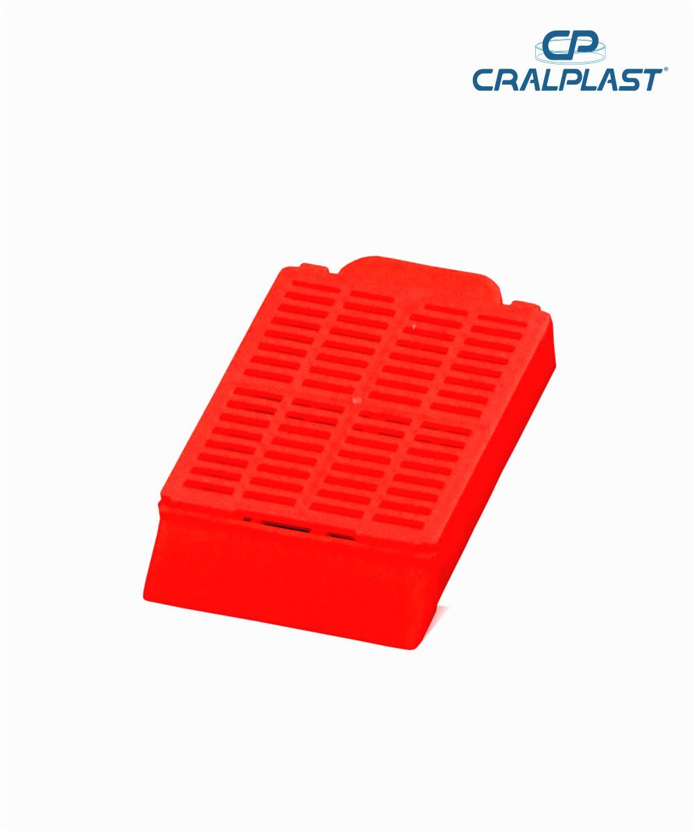 Cassete para biópsia vermelho