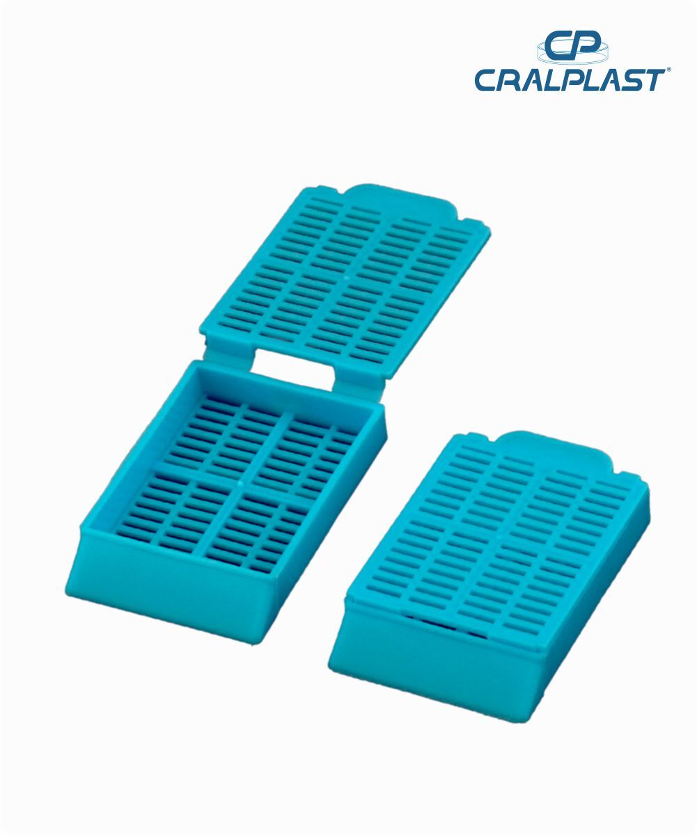 Cassete para biópsia azul