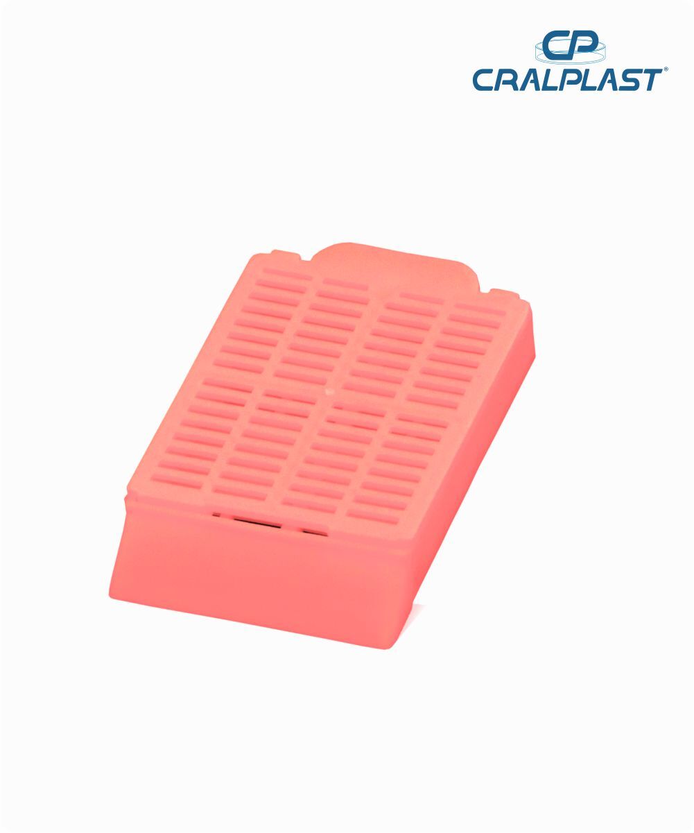 Cassete para biópsia rosa