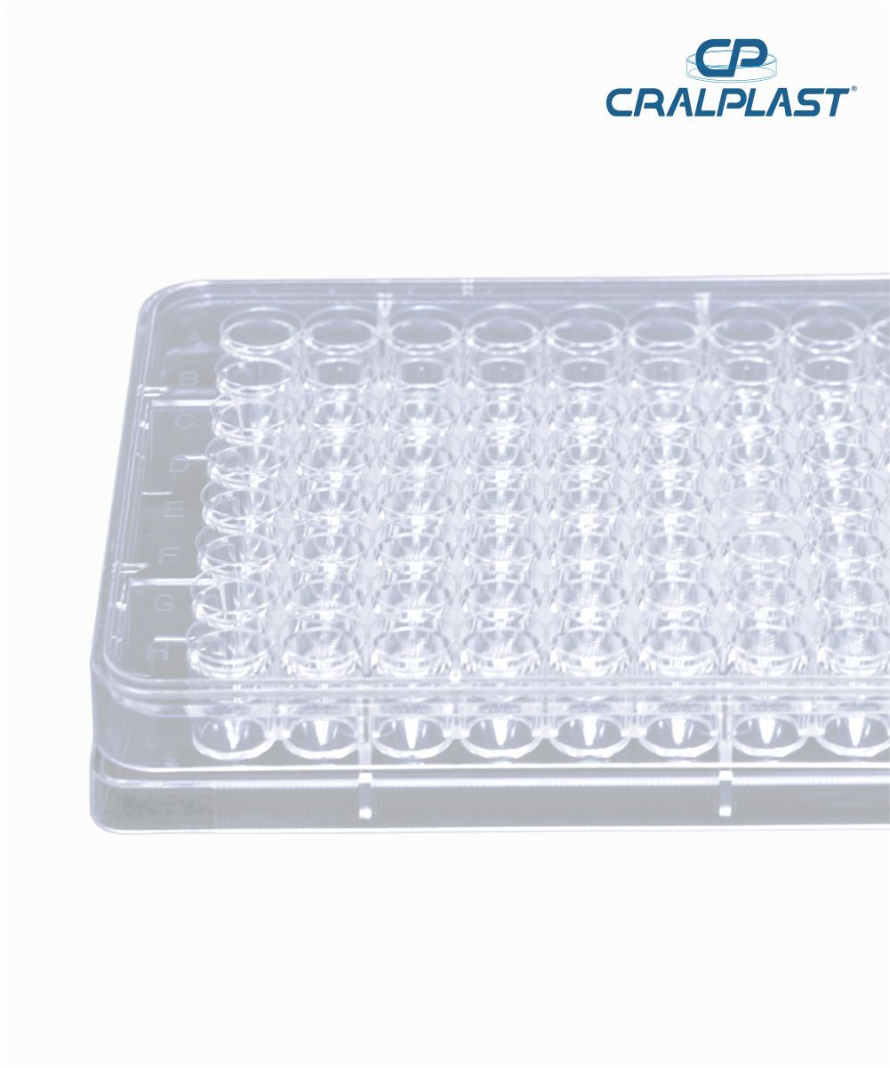 Microplaca fundo V estéril individual