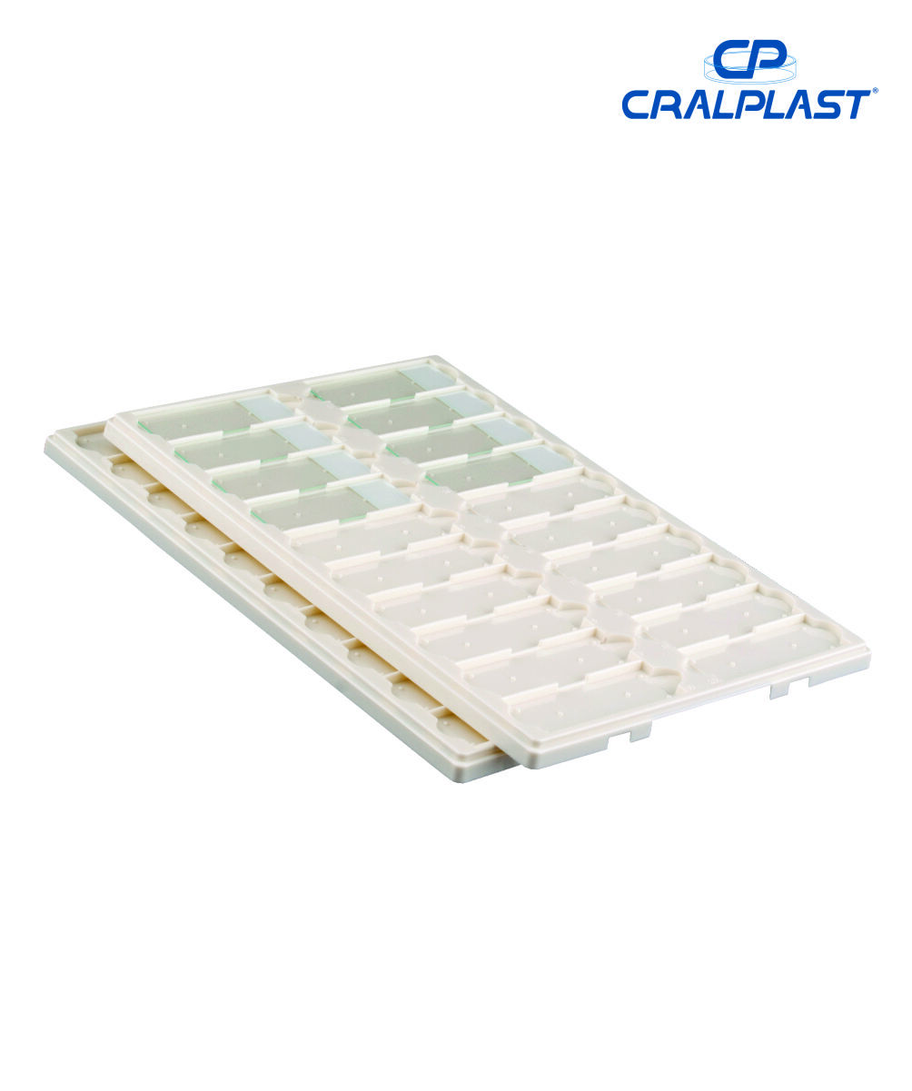 Bandeja plástica para 20 lâminas
